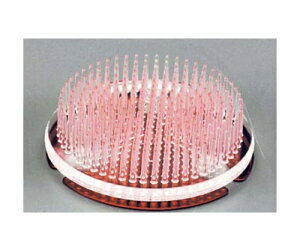 }tWR쏊 vX`bNR(J[t) 1586720 1