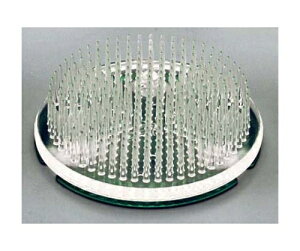 }tWR쏊 vX`bNR(J[t) 1586740 1