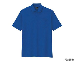 CO-COS dEhEL|Vc@6u[@4L AS-257-6-4L 1