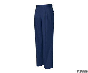 ACgX [Npci2^bNj@lCr[@100 5372-008-100 1