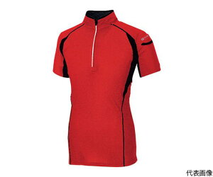 ACgX n[tZIPVc@bh@4L 551032-009-4L 1