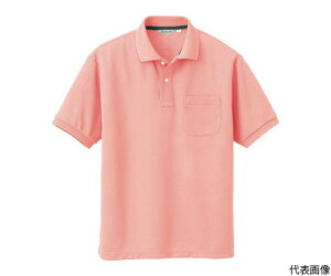 ACgX Y|Vc@sN@4L CL1000-025-4L 1