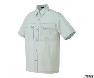 ACgX Vcijpj@Vo[O[@L 5666-003-L 1