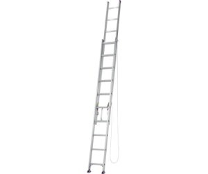 アルインコ 二連はしご CX-DE型 全長3.46m〜5.93m 最大使用質量100kg CX60DE 1台
