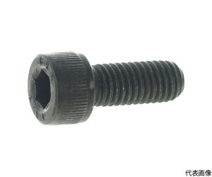�g���X�R���R 14.9�����x�Z�p���t�{���g �X�`�[�����n �S�˂� M10×40 2�{�� Y149-1040 1�p�b�N(2�{��)
