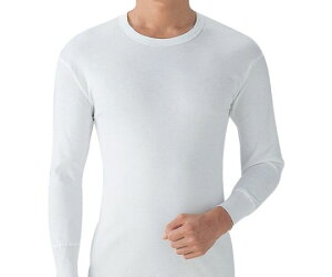 O[ 炩ێ2gL SV6108A-L 1g(2)