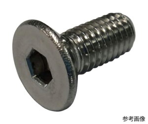 RmG ZptM{g XeX M4×8 100{ FLATCS-SUS-48 100{