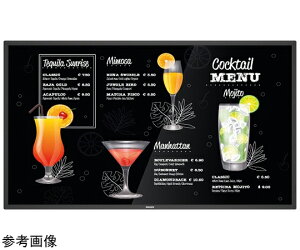 PHILIPSifBXvCj tfBXvCiTCl[Wj43^ 3840×2160 DVIEHDMIEDisplayPport ubN Xs[J[ 1 43BDL3117P/11