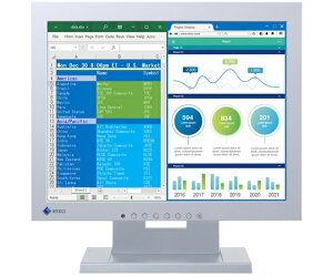 EIZO tfBXvC 15^ 1024×768 DVIED-Sub Z[OC Xs[J[ 1 S1504-TGY