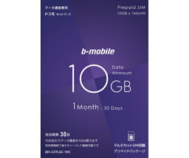 日本通信 b-mobile 新10GBプリペイド 10GB（利用期間30日） 1枚 BM-GTPL6C-1MC