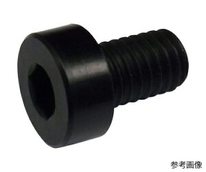 RmG ᓪZpt{g RENY M6×30 F 10{ 10{ LHCS-RENY-BK-630