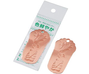 cӋ }E؂̐Fl FN₩ 1