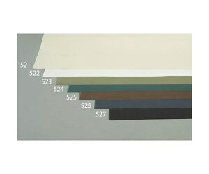 GXR 1.1x 5m/0.55mm Ȕz(11/ubN) 1 EA911AK-527