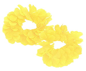 �A�[�e�b�N �͂Ȃ̘r�� �� �� 1�g�i2���j 1�g(2��) 2964