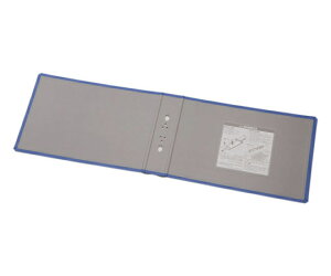 �L���O�W�� �L���O�t�@�C���@SDDE�@�֕\���@�� 1�� 2484AH