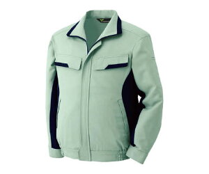 ~hS H~ƕ ѓdh~JISK jyAu] xfNZtbNX VE56  CgO[×lCr[ SS 1 VE56-UE-SS