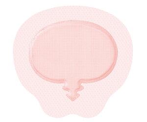 X~Xlt[ nChTCg AD WFg 21.6×23cm 10 1(10) 66801031