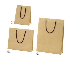 XgAEGLXvX J[񂰎 Ntg 20×12×25 100 1Zbg(100) 61-785-20-5