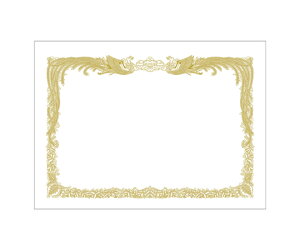 TTK ܏p ㎿ B4 cp 100 1(100) 10-5035