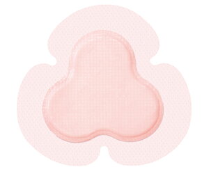 X~Xlt[ nChTCg AD WFg 17.1×17.9cm 10 1(10) 66800959