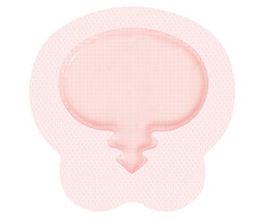 X~Xlt[ nChTCg AD WFg 17.1×16.8cm 10 1(10) 66800898