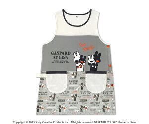 ZgfBX TƃKXp[ ۈmEŌtEmpGv PAIN O[/AC{[ 1 ST-IG0010