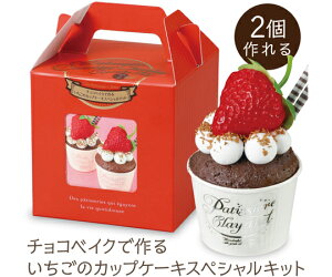 A[ebN `RxCNō邢̃JbvP[LXyVLbg 1Zbg 50852