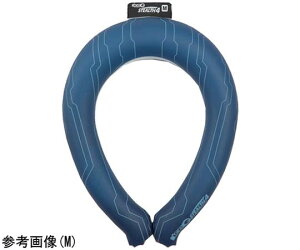 R^ ACXG XeX4 u[ M 1 ICGS4-BUC-M