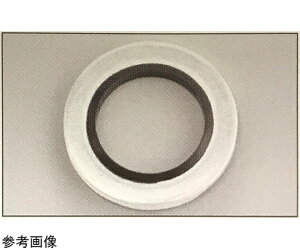 ICV[H V[bV SW-N^it{gp aȂjNBR SW3X6.4-N 100 1(100)