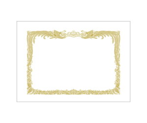 TTK ܏p ㎿  cp 100 1(100) 10-5010