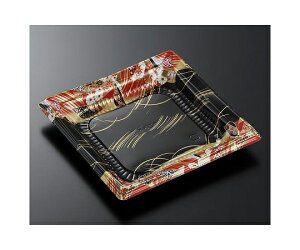 w ǂԂe CT K19 DR-BK gL1 800 1P[X(800) 11346