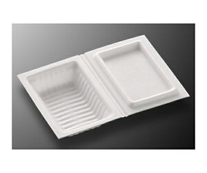 w g[ [ 4E V 2000 1P[X(2000) 530881