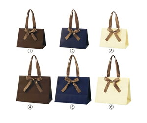 �X�g�A�E�G�L�X�v���X ��񂰎��� �m�u���X M �u���E�� 1�Z�b�g�i10�����j 1�Z�b�g(10����) 61-431-35-4