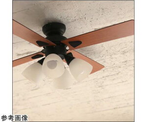 ���C�t�I���v���_�N�c �V�[�����O�t�@�� Windouble4 �u���b�N 1�� BIG-101-BK