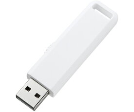 サンワサプライ USB2.0メモリ 1個 UFD-SL2GWN