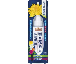 A[X ؂Ԗl@Ԑp@100ML 1{