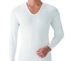 O[ 炩U2gLL 1g(2) SV6110A-LL