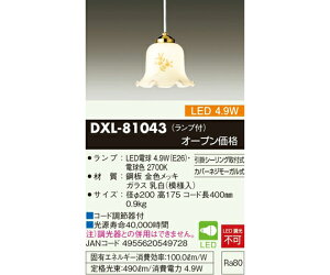 d@ ցELED^y_gCg i͗lj 1 DXL-81043