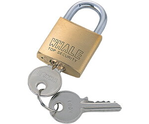 TTvC eZLeB@}X^[L[Ή@싞@ 1 SLE-1LM