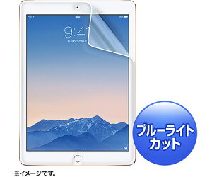 TTvC iPadAir2pu[CgJbgtیw䔽˖h~tB 1 LCD-IPAD6BCAR
