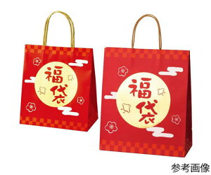 XgAEGLXvX 񂰕  30×13×35cm 10 1Zbg 28-151-2-2