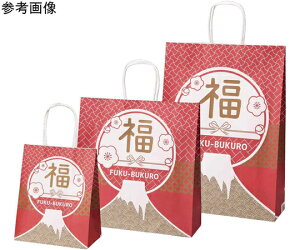 XgAEGLXvX 񂰕 xm 32×11×33cm 50 1Zbg 28-152-3-2