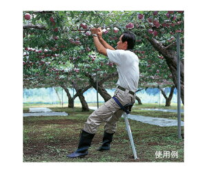 �n���b�N�X ���N�e�[�� ��Ɨp�⏕�C�X 1�� RT-50�y��^���i�̈ב���s�z