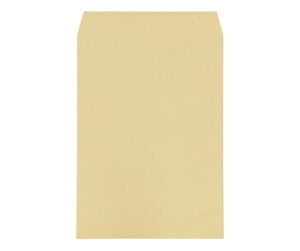 寿堂 クラフト封筒(サイド貼り) 1枚 623