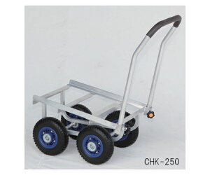 nbNX ؍ nEXJ[ Rei΂ߒu^Cv m[pN^C ύڏdʁF60kg 1 CHK-250Ny^ïבsz