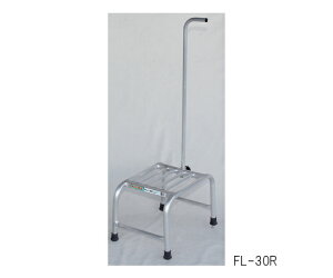 nbNX t~bN (p) gpF30cm 1 FL-30Ry^ïבsz