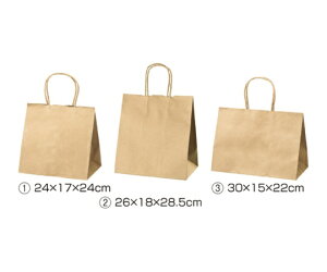 XgAEGLXvX t܁@ۂЂ^Cv@n@30×15×22@200 1Zbg(200) 61-431-24-15