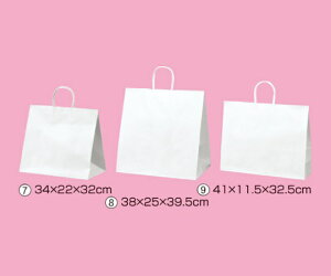 XgAEGLXvX t܁@ۂЂ^Cv@n@41×11.5×32.5@200 1Zbg(200) 61-431-25-21