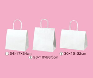 ストア・エキスプレス 持ち手付き紙袋 丸ひもタイプ 白無地 30×15×22 入数200枚 1セット(200枚入) 61-431-25-15