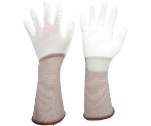 ~hS Ǝ OîЂR[eBOj10o SSTCY 1(10o) MCG-500N-LONG-SS